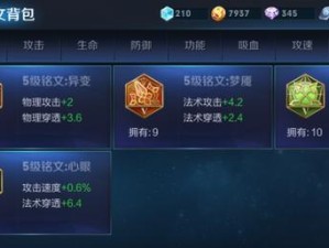 《以太乙真人鸟人出装攻略大全》（全面解析以太乙真人鸟人出装策略，助你登峰造极！）