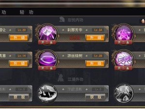 《一站江湖1000轻功心法与丹药提升大全》（掌握最全攻略，让你在江湖中闯荡无往不利！）