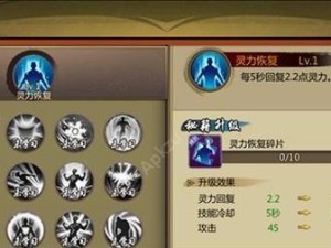 《大江湖之苍龙与白鸟》全武学秘籍获取攻略（打通江湖，掌握精华，全面掌握武学技艺）