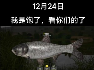 夜钓鱼攻略游戏推荐（探索暗夜中的神秘乐趣，挑战夜钓技巧）
