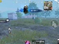 和平精英王昭君怎么打厉害,掌握技巧，成为战场控制女王