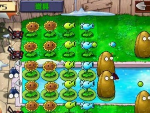 《以水排序游戏攻略100关》（挑战无尽的水流难题，通关攻略一网打尽！）