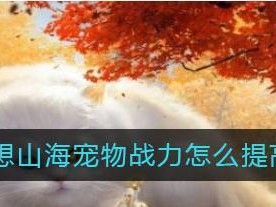 新手必看的宠物抓取攻略，助您在游戏中更轻松！（新手必看的宠物抓取攻略，助您在游戏中更轻松！）