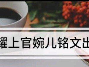潇洒婉儿出装符文攻略（气质出众、魅力十足，以潇洒婉儿为主角的装备和符文攻略）