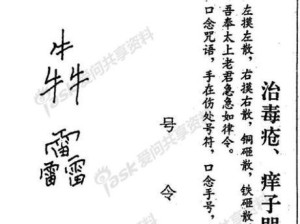 小鲁班法术出装顺序攻略（掌握小鲁班的法术出装，成为王者峡谷的法术杀手）
